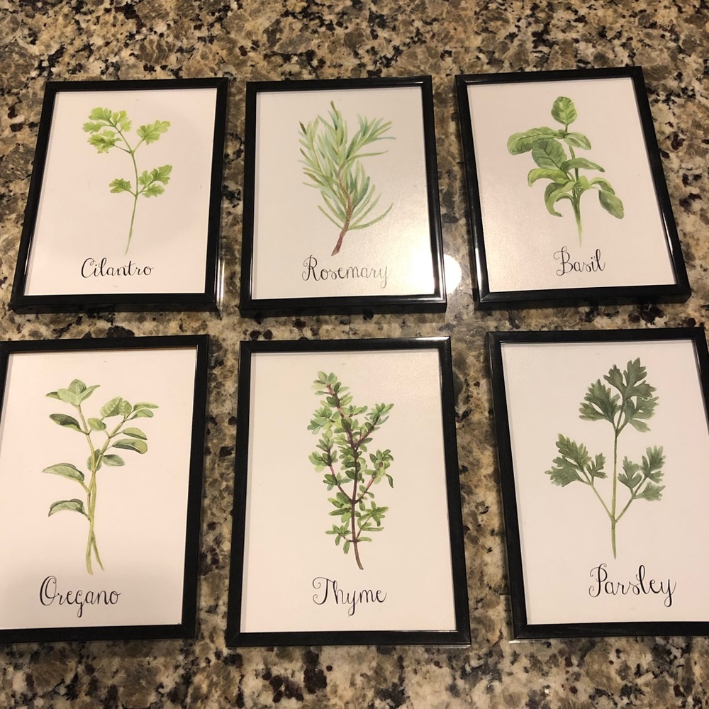 Set of 6 Herb Art Prints, framed